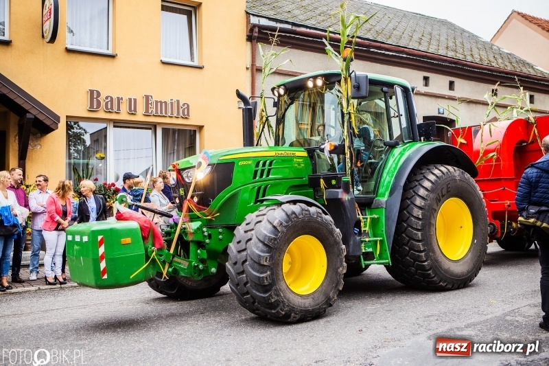 Zdjęcie w galerii na portalu naszraciborz.pl: Powiatowe Dożynki KRZANOWICE 2018  wiadomości z regionu