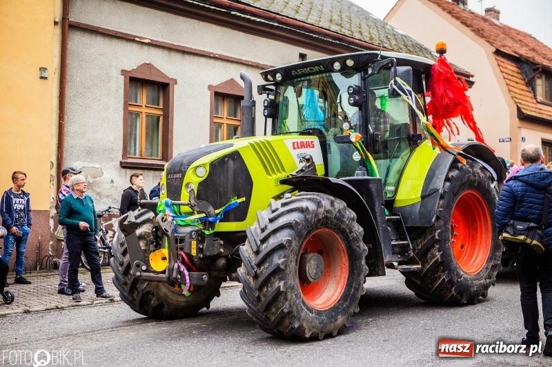 Zdjęcie w galerii na portalu naszraciborz.pl: Powiatowe Dożynki KRZANOWICE 2018  wiadomości z regionu