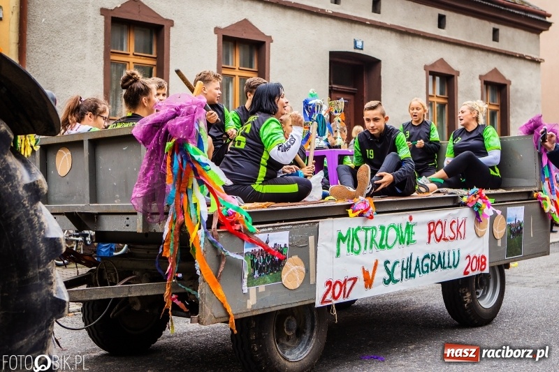 Zdjęcie w galerii na portalu naszraciborz.pl: Powiatowe Dożynki KRZANOWICE 2018  wiadomości z regionu