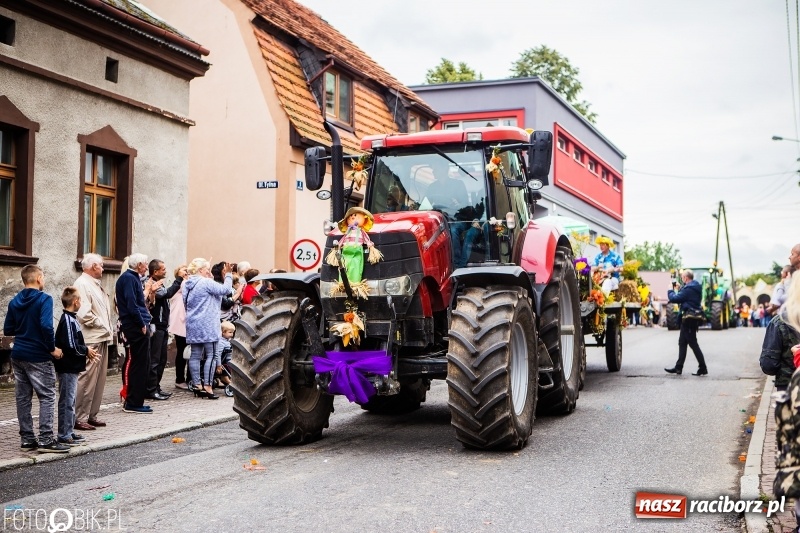 Zdjęcie w galerii na portalu naszraciborz.pl: Powiatowe Dożynki KRZANOWICE 2018  wiadomości z regionu