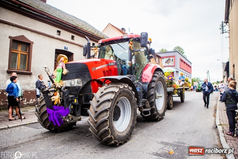 Zdjęcie w galerii na portalu naszraciborz.pl: Powiatowe Dożynki KRZANOWICE 2018  wiadomości z regionu