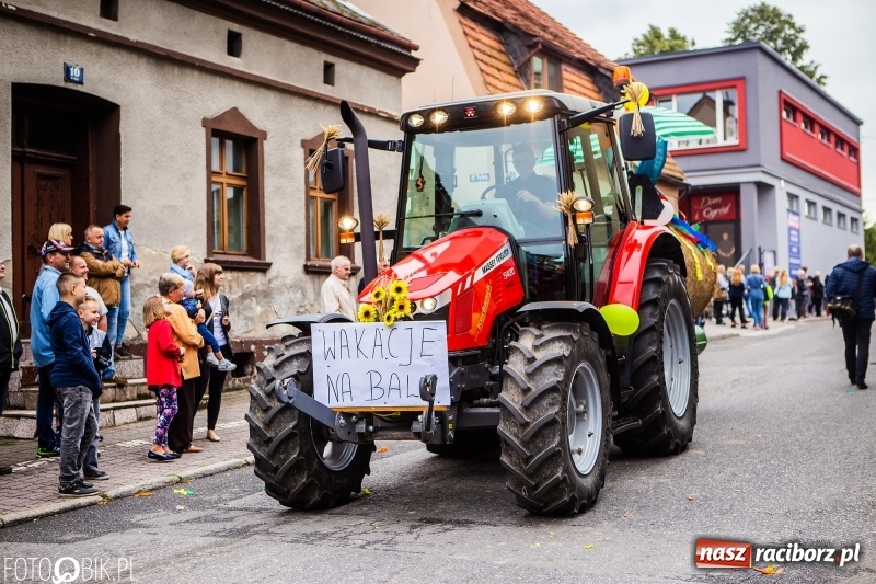 Zdjęcie w galerii na portalu naszraciborz.pl: Powiatowe Dożynki KRZANOWICE 2018  wiadomości z regionu
