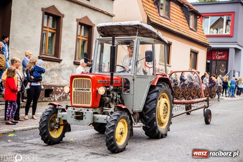 Zdjęcie w galerii na portalu naszraciborz.pl: Powiatowe Dożynki KRZANOWICE 2018  wiadomości z regionu