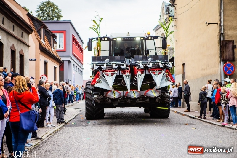 Zdjęcie w galerii na portalu naszraciborz.pl: Powiatowe Dożynki KRZANOWICE 2018  wiadomości z regionu