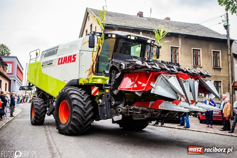 Zdjęcie w galerii na portalu naszraciborz.pl: Powiatowe Dożynki KRZANOWICE 2018  wiadomości z regionu