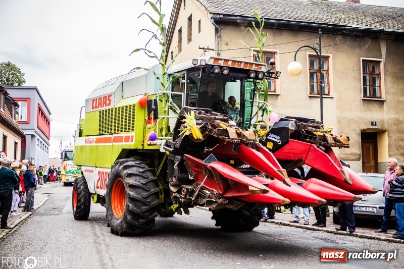Zdjęcie w galerii na portalu naszraciborz.pl: Powiatowe Dożynki KRZANOWICE 2018  wiadomości z regionu
