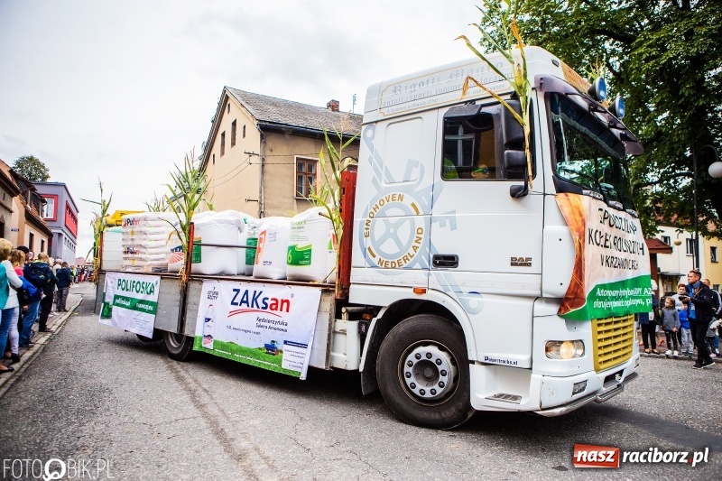 Zdjęcie w galerii na portalu naszraciborz.pl: Powiatowe Dożynki KRZANOWICE 2018  wiadomości z regionu