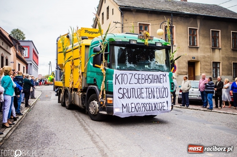 Zdjęcie w galerii na portalu naszraciborz.pl: Powiatowe Dożynki KRZANOWICE 2018  wiadomości z regionu