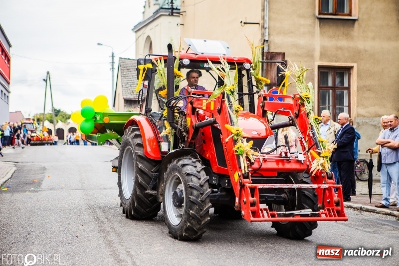 Zdjęcie w galerii na portalu naszraciborz.pl: Powiatowe Dożynki KRZANOWICE 2018  wiadomości z regionu
