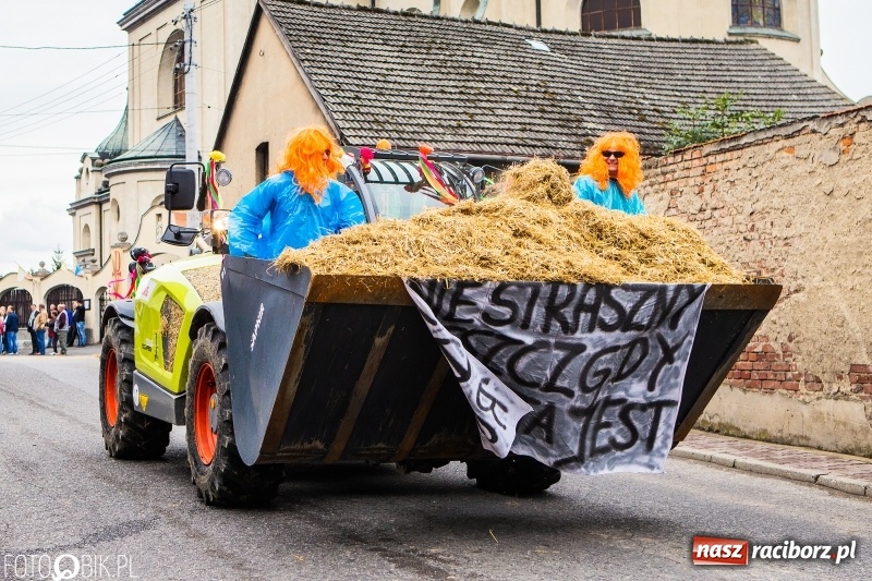 Zdjęcie w galerii na portalu naszraciborz.pl: Powiatowe Dożynki KRZANOWICE 2018  wiadomości z regionu