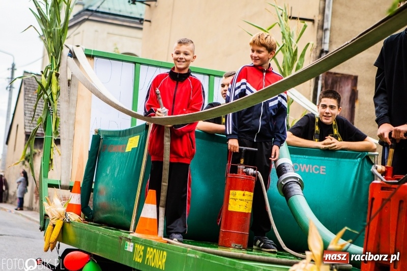 Zdjęcie w galerii na portalu naszraciborz.pl: Powiatowe Dożynki KRZANOWICE 2018  wiadomości z regionu