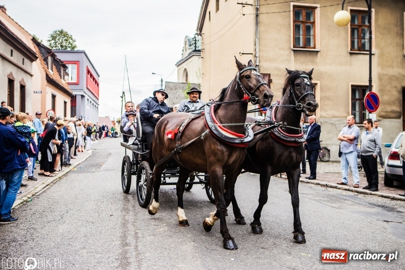 Zdjęcie w galerii na portalu naszraciborz.pl: Powiatowe Dożynki KRZANOWICE 2018  wiadomości z regionu