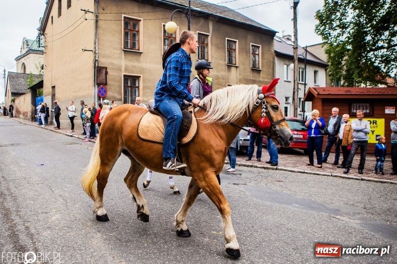 Zdjęcie w galerii na portalu naszraciborz.pl: Powiatowe Dożynki KRZANOWICE 2018  wiadomości z regionu
