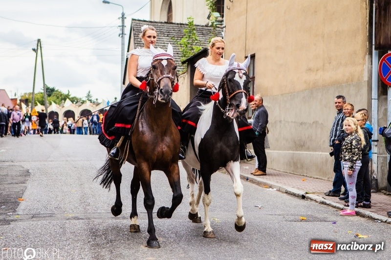 Zdjęcie w galerii na portalu naszraciborz.pl: Powiatowe Dożynki KRZANOWICE 2018  wiadomości z regionu