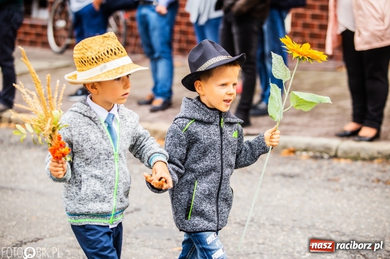 Zdjęcie w galerii na portalu naszraciborz.pl: Powiatowe Dożynki KRZANOWICE 2018  wiadomości z regionu