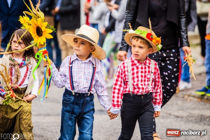 Zdjęcie w galerii na portalu naszraciborz.pl: Powiatowe Dożynki KRZANOWICE 2018  wiadomości z regionu
