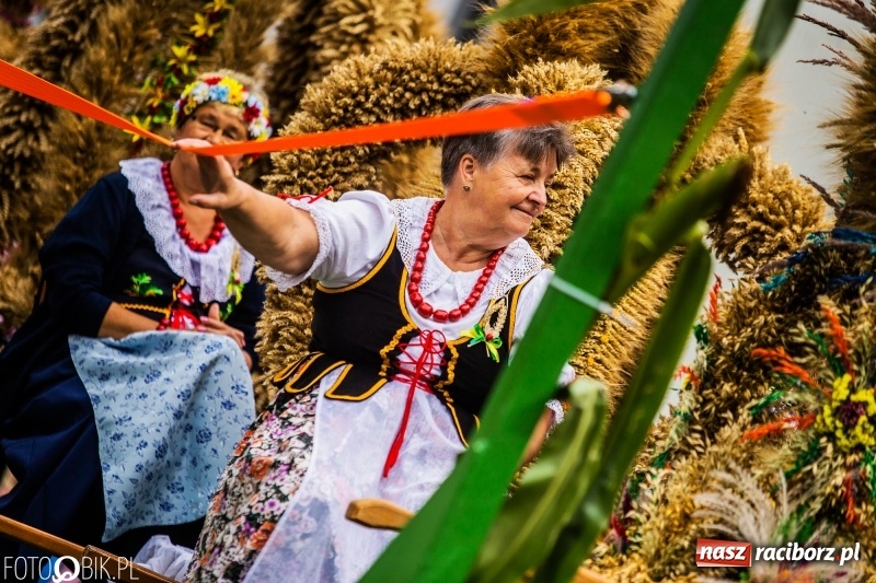 Zdjęcie w galerii na portalu naszraciborz.pl: Powiatowe Dożynki KRZANOWICE 2018  wiadomości z regionu