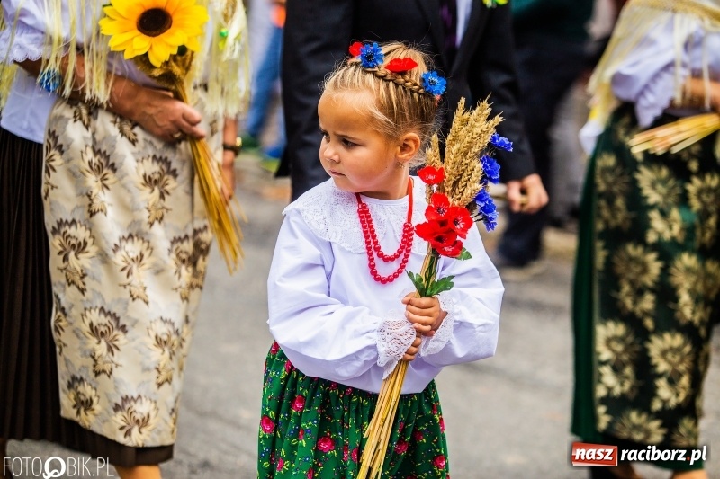 Zdjęcie w galerii na portalu naszraciborz.pl: Powiatowe Dożynki KRZANOWICE 2018  wiadomości z regionu