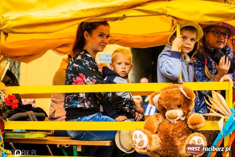 Zdjęcie w galerii na portalu naszraciborz.pl: Powiatowe Dożynki KRZANOWICE 2018  wiadomości z regionu