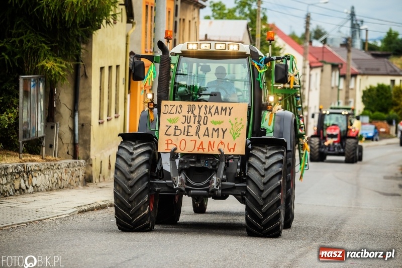Zdjęcie w galerii na portalu naszraciborz.pl: Powiatowe Dożynki KRZANOWICE 2018  wiadomości z regionu