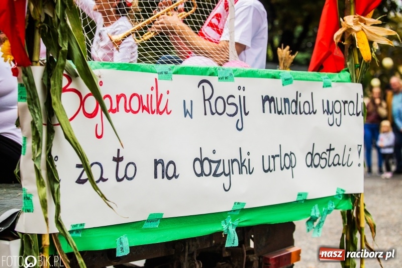 Zdjęcie w galerii na portalu naszraciborz.pl: Powiatowe Dożynki KRZANOWICE 2018  wiadomości z regionu
