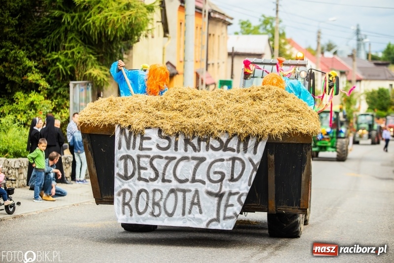 Zdjęcie w galerii na portalu naszraciborz.pl: Powiatowe Dożynki KRZANOWICE 2018  wiadomości z regionu