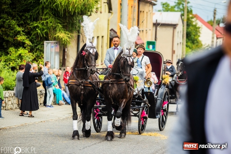 Zdjęcie w galerii na portalu naszraciborz.pl: Powiatowe Dożynki KRZANOWICE 2018  wiadomości z regionu