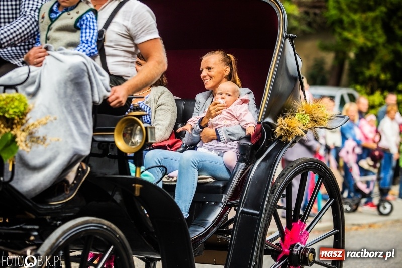 Zdjęcie w galerii na portalu naszraciborz.pl: Powiatowe Dożynki KRZANOWICE 2018  wiadomości z regionu