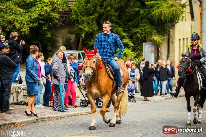 Zdjęcie w galerii na portalu naszraciborz.pl: Powiatowe Dożynki KRZANOWICE 2018  wiadomości z regionu
