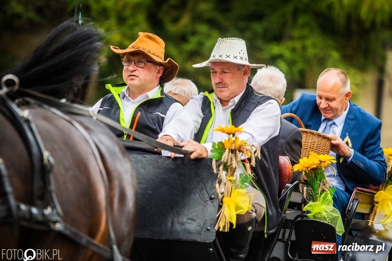 Zdjęcie w galerii na portalu naszraciborz.pl: Powiatowe Dożynki KRZANOWICE 2018  wiadomości z regionu