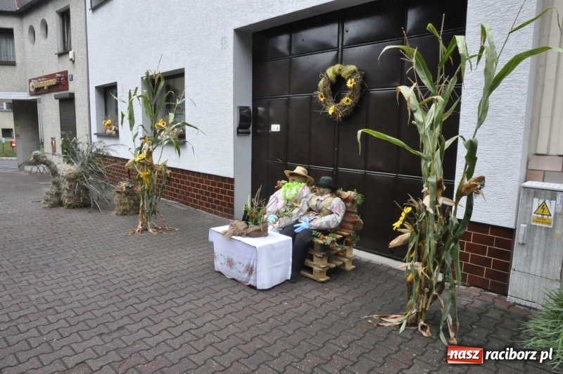 Zdjęcie w galerii na portalu naszraciborz.pl: Powiatowe Dożynki KRZANOWICE 2018  wiadomości z regionu
