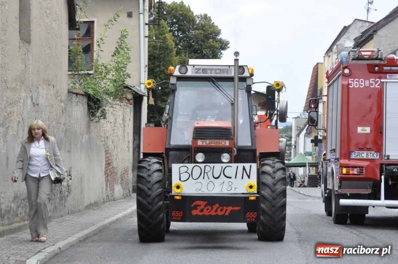 Zdjęcie w galerii na portalu naszraciborz.pl: Powiatowe Dożynki KRZANOWICE 2018  wiadomości z regionu