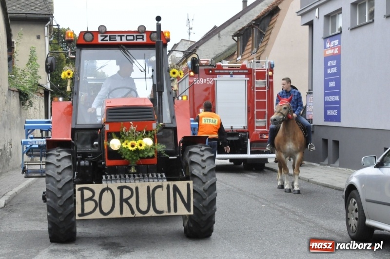 Zdjęcie w galerii na portalu naszraciborz.pl: Powiatowe Dożynki KRZANOWICE 2018  wiadomości z regionu
