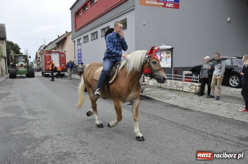 Zdjęcie w galerii na portalu naszraciborz.pl: Powiatowe Dożynki KRZANOWICE 2018  wiadomości z regionu
