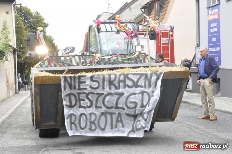 Zdjęcie w galerii na portalu naszraciborz.pl: Powiatowe Dożynki KRZANOWICE 2018  wiadomości z regionu