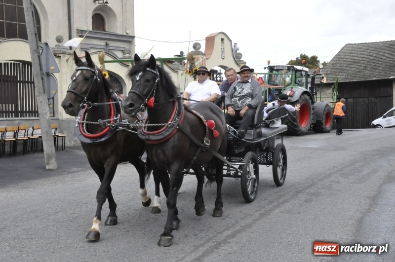 Zdjęcie w galerii na portalu naszraciborz.pl: Powiatowe Dożynki KRZANOWICE 2018  wiadomości z regionu