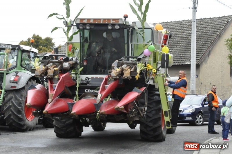 Zdjęcie w galerii na portalu naszraciborz.pl: Powiatowe Dożynki KRZANOWICE 2018  wiadomości z regionu