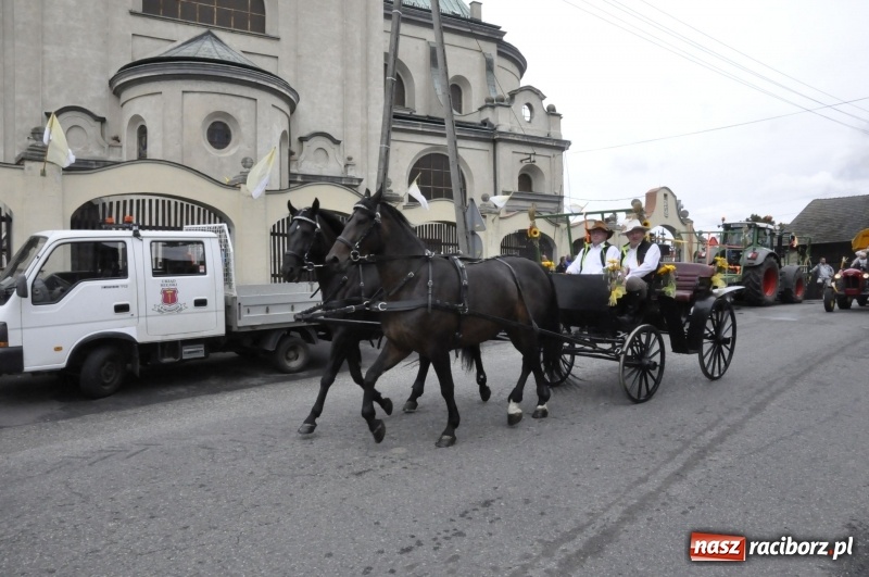 Zdjęcie w galerii na portalu naszraciborz.pl: Powiatowe Dożynki KRZANOWICE 2018  wiadomości z regionu