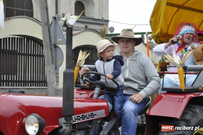 Zdjęcie w galerii na portalu naszraciborz.pl: Powiatowe Dożynki KRZANOWICE 2018  wiadomości z regionu