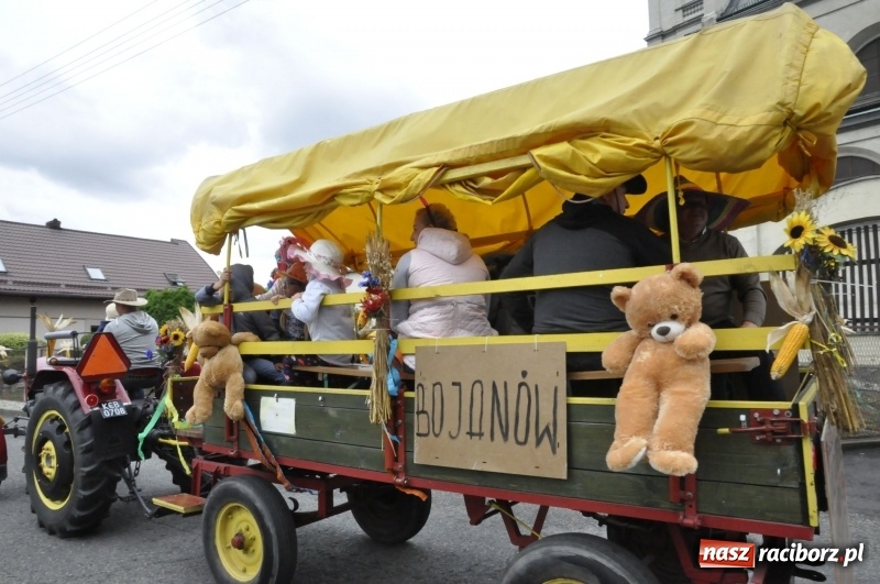 Zdjęcie w galerii na portalu naszraciborz.pl: Powiatowe Dożynki KRZANOWICE 2018  wiadomości z regionu