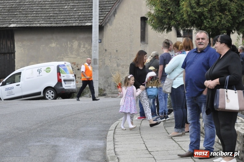 Zdjęcie w galerii na portalu naszraciborz.pl: Powiatowe Dożynki KRZANOWICE 2018  wiadomości z regionu