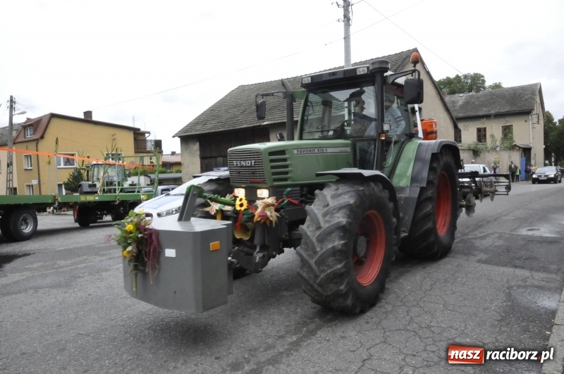 Zdjęcie w galerii na portalu naszraciborz.pl: Powiatowe Dożynki KRZANOWICE 2018  wiadomości z regionu
