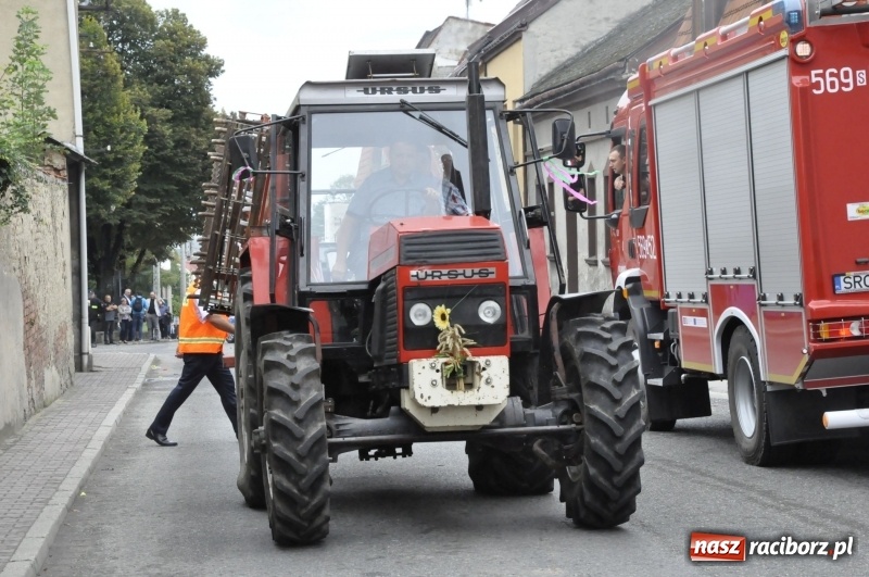Zdjęcie w galerii na portalu naszraciborz.pl: Powiatowe Dożynki KRZANOWICE 2018  wiadomości z regionu