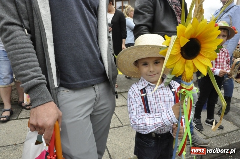 Zdjęcie w galerii na portalu naszraciborz.pl: Powiatowe Dożynki KRZANOWICE 2018  wiadomości z regionu