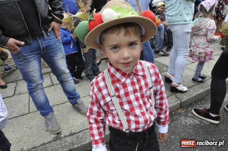 Zdjęcie w galerii na portalu naszraciborz.pl: Powiatowe Dożynki KRZANOWICE 2018  wiadomości z regionu