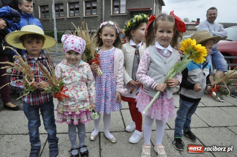 Zdjęcie w galerii na portalu naszraciborz.pl: Powiatowe Dożynki KRZANOWICE 2018  wiadomości z regionu