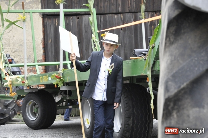 Zdjęcie w galerii na portalu naszraciborz.pl: Powiatowe Dożynki KRZANOWICE 2018  wiadomości z regionu