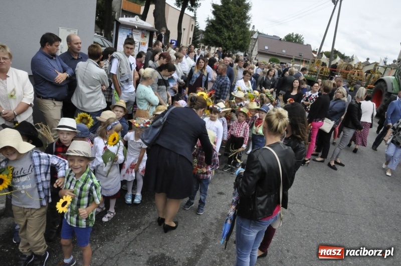 Zdjęcie w galerii na portalu naszraciborz.pl: Powiatowe Dożynki KRZANOWICE 2018  wiadomości z regionu