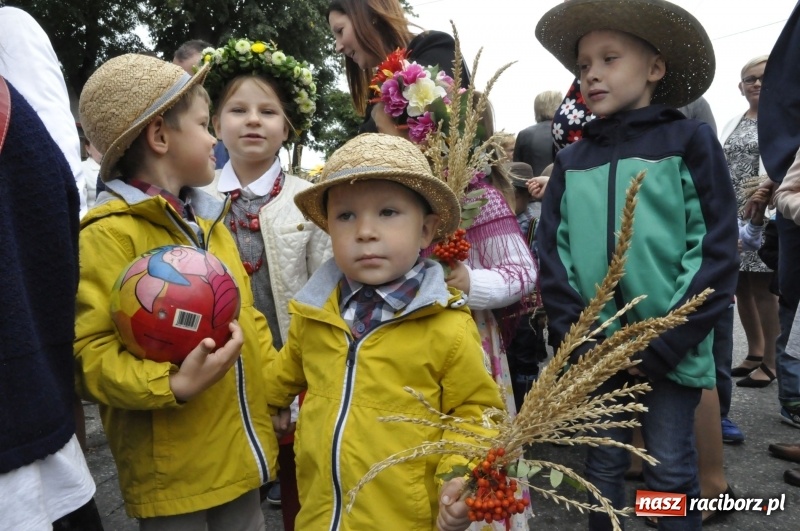 Zdjęcie w galerii na portalu naszraciborz.pl: Powiatowe Dożynki KRZANOWICE 2018  wiadomości z regionu