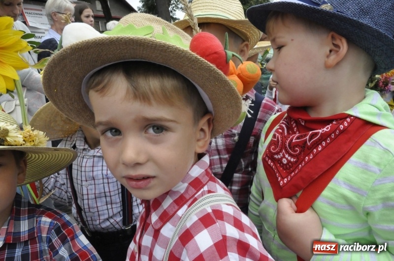Zdjęcie w galerii na portalu naszraciborz.pl: Powiatowe Dożynki KRZANOWICE 2018  wiadomości z regionu